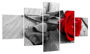 Obraz rudé růže (125x70 cm)