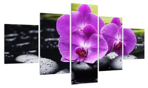 Obraz orchidejí (125x70 cm)