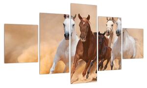 Obraz koní (125x70 cm)