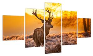 Obraz jelena (125x70 cm)