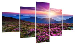 Obraz horské rozkvetlé krajiny (125x70 cm)