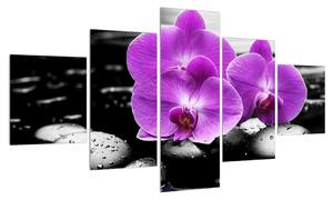 Obraz květů orchideje (125x70 cm)