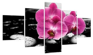 Obraz květů orchideje (125x70 cm)