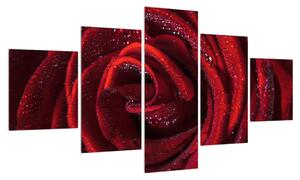 Obraz červené růže (125x70 cm)