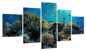 Obraz podmořského světa (125x70 cm)