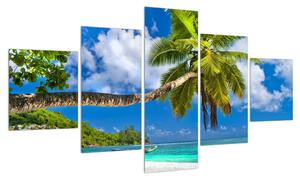 Obraz palmy a pláže (125x70 cm)