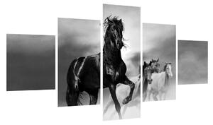 Obraz koně (125x70 cm)