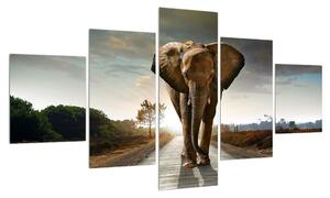 Obraz slona (125x70 cm)