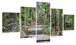 Obraz kamenných schodů v lese (125x70 cm)