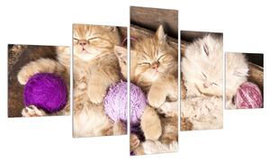 Obraz spících koťat (125x70 cm)