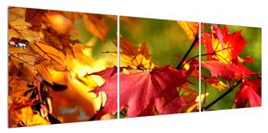 Obraz podzimních listů (150x50 cm)