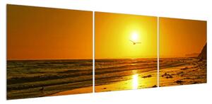 Obraz mořské pláže (150x50 cm)