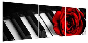 Obraz růže a klavíru (150x50 cm)