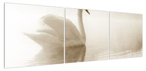 Obraz labutě (150x50 cm)