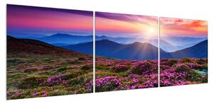 Obraz horské rozkvetlé krajiny (150x50 cm)