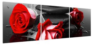Obraz růže (150x50 cm)