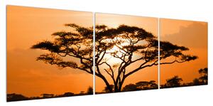 Obraz africké savany (150x50 cm)