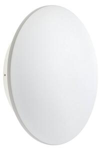 Redo REDO90541 LED venkovní nástěnné svítidlo Tanit integrovaný LED zdroj | 3059/962 lm | 3000K