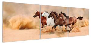 Obraz koní (150x50 cm)