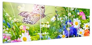 Obraz letních květů s motýlem (150x50 cm)