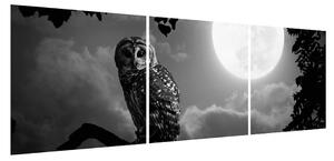 Obraz noční sovy (150x50 cm)