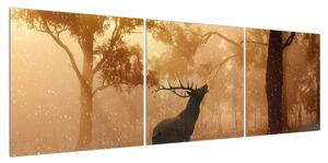 Obraz jelena v říji (150x50 cm)