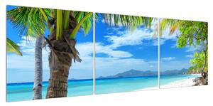 Obraz palmy a pláže (150x50 cm)