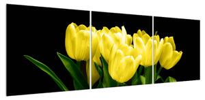 Obraz žlutých tulipánů (150x50 cm)