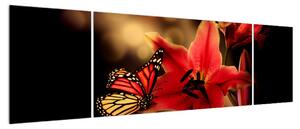 Obraz lilie s motýlem (170x50 cm)
