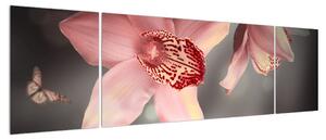 Obraz květů a motýla (170x50 cm)