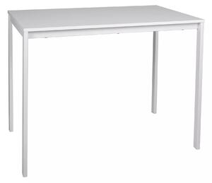 Jídelní stůl 100x60 ERION - bílý