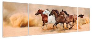Obraz koní (170x50 cm)