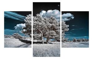 Obraz sněhobílého stromu (90x60 cm)