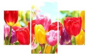 Obraz tulipánů (90x60 cm)