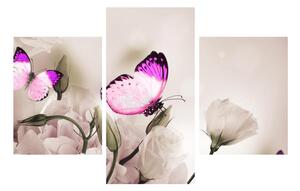 Obraz motýla (90x60 cm)