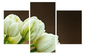 Obraz tulipánů (90x60 cm)