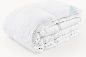 Péřová přikrývka Comfort, teplá