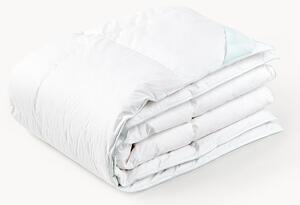Péřová přikrývka Comfort, teplá