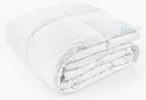 Péřová přikrývka Comfort, teplá