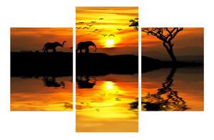 Obraz africké krajiny se slonem (90x60 cm)