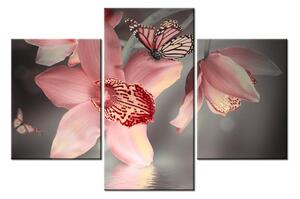 Obraz květů a motýla (90x60 cm)