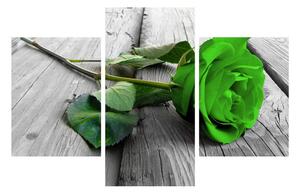 Obraz zelené růže (90x60 cm)
