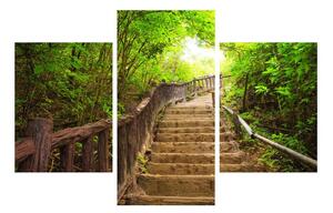 Letní obraz schodů v přírodě (90x60 cm)