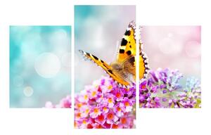 Obraz motýla na květech (90x60 cm)