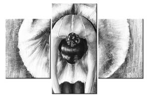 Černobílý obraz baletky (90x60 cm)