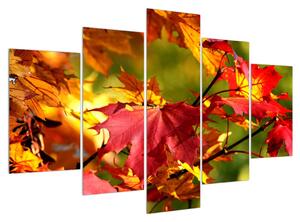 Obraz podzimních listů (150x105 cm)
