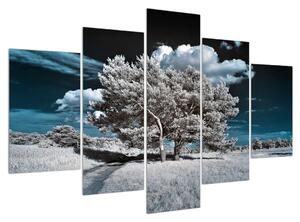 Obraz sněhobílého stromu (150x105 cm)