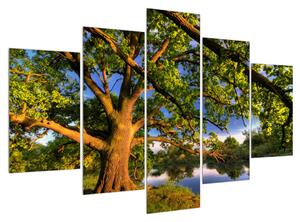 Obraz stromu u jezera (150x105 cm)