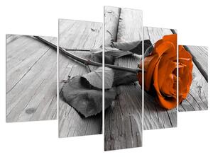 Obraz oranžové růže (150x105 cm)