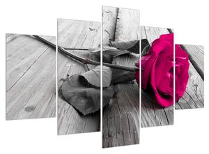 Obraz růžové růže (150x105 cm)